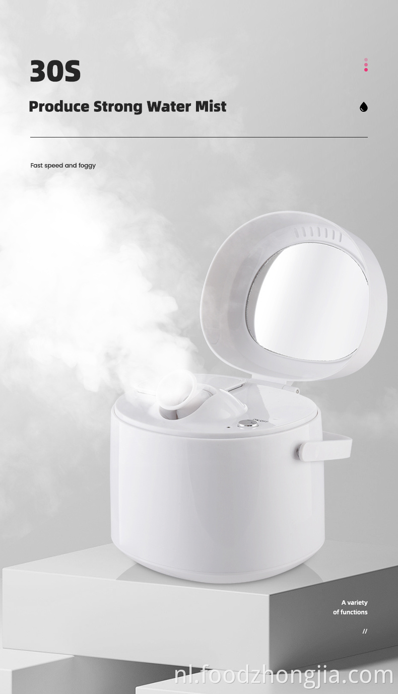 Hot Mist Facial Home Spa Hot Ionic Mist Sprayer Ionische Spray Nano draagbare gezichtsstoomboot